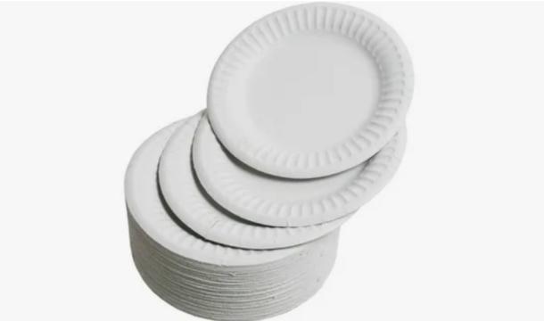 Посуда (тарелки бумажные)