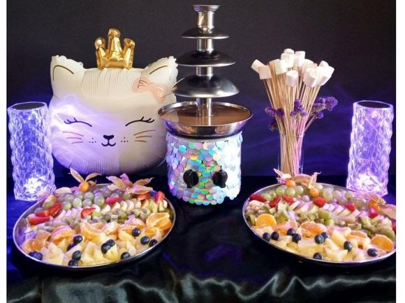 Молочный шоколадный фонтан на 20 персон в Санкт-Петербурге